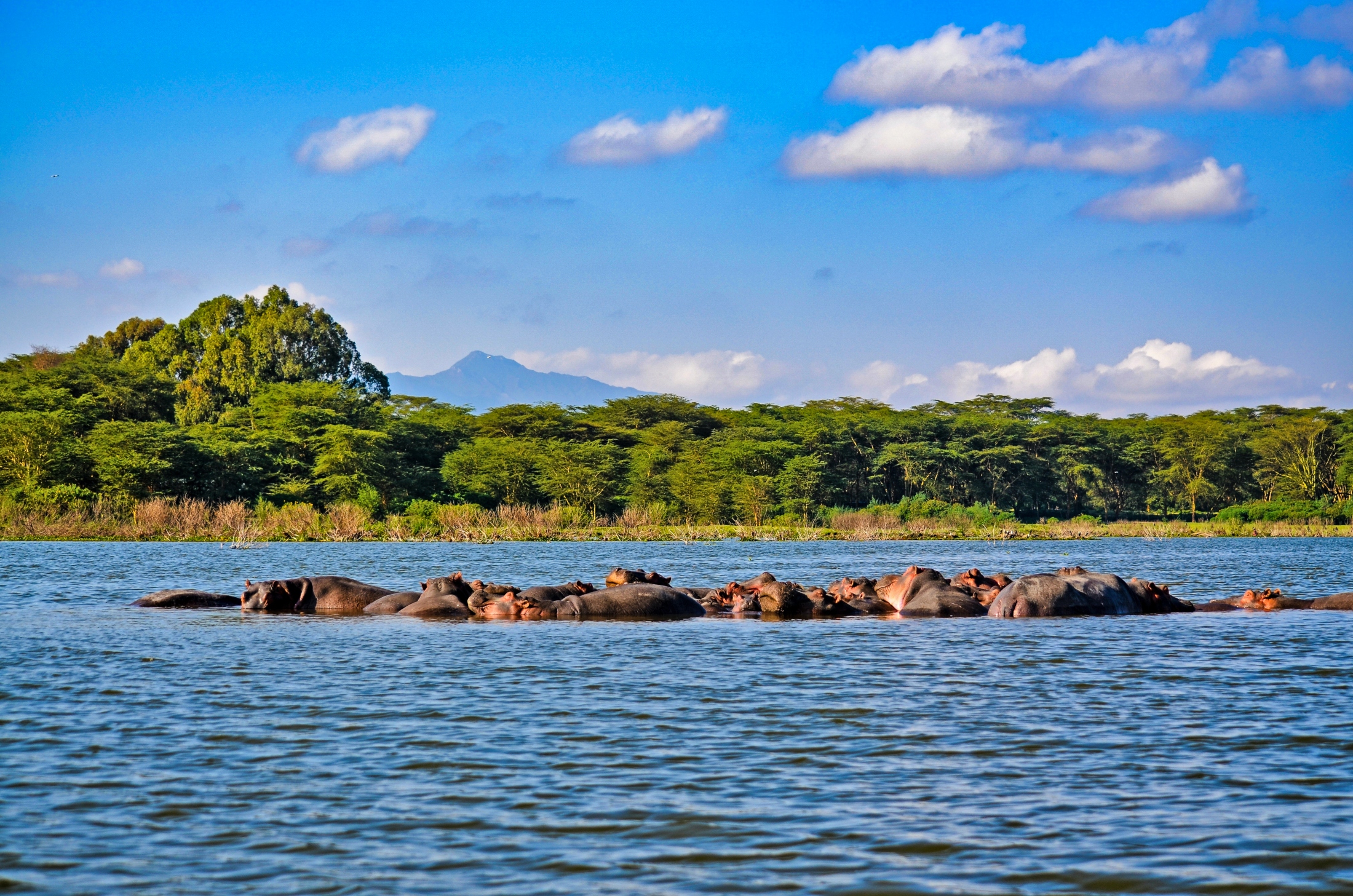 Masai Mara Landscape