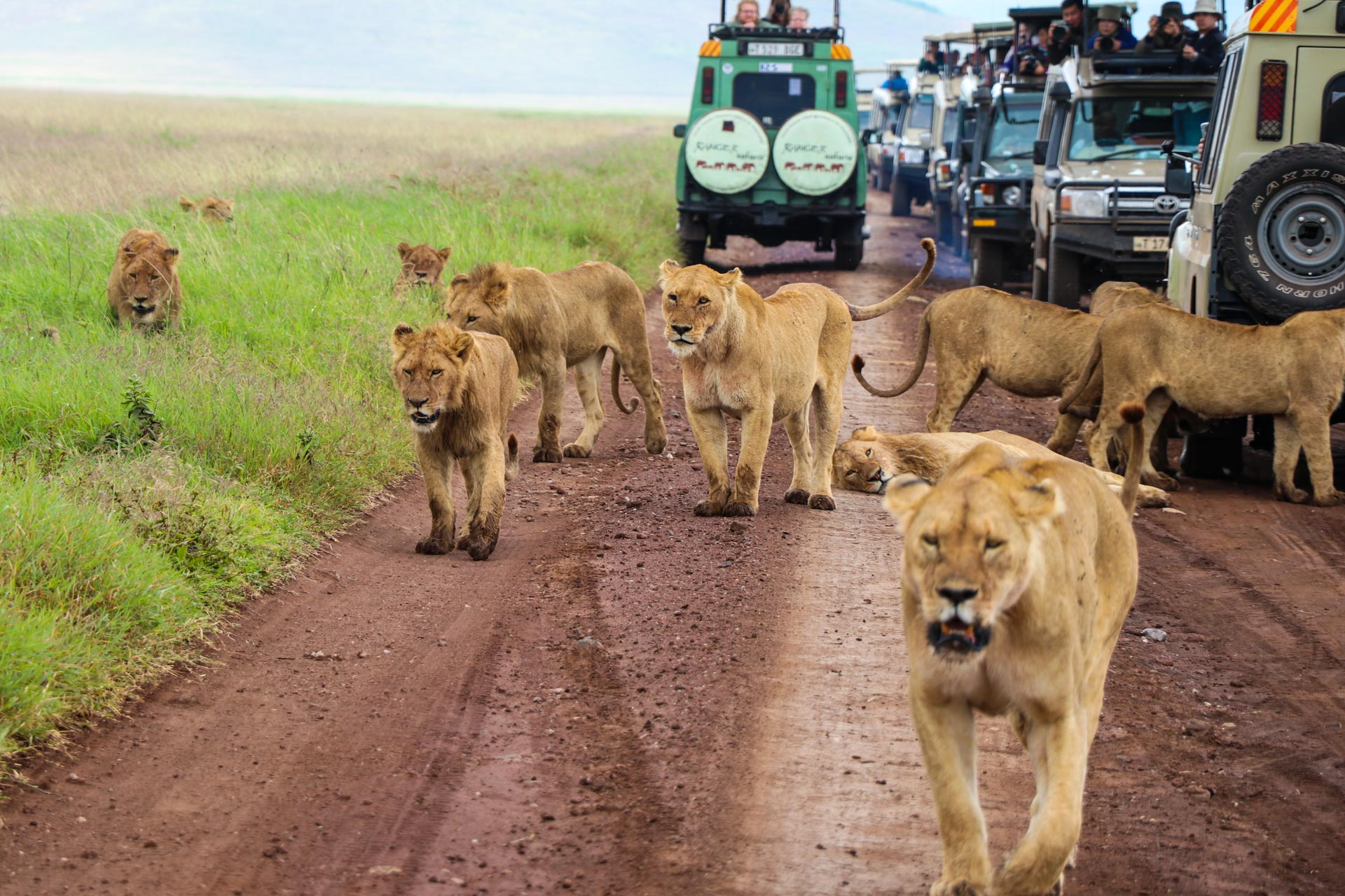 3-Days-Masai-Mara-Christmas-Deals
