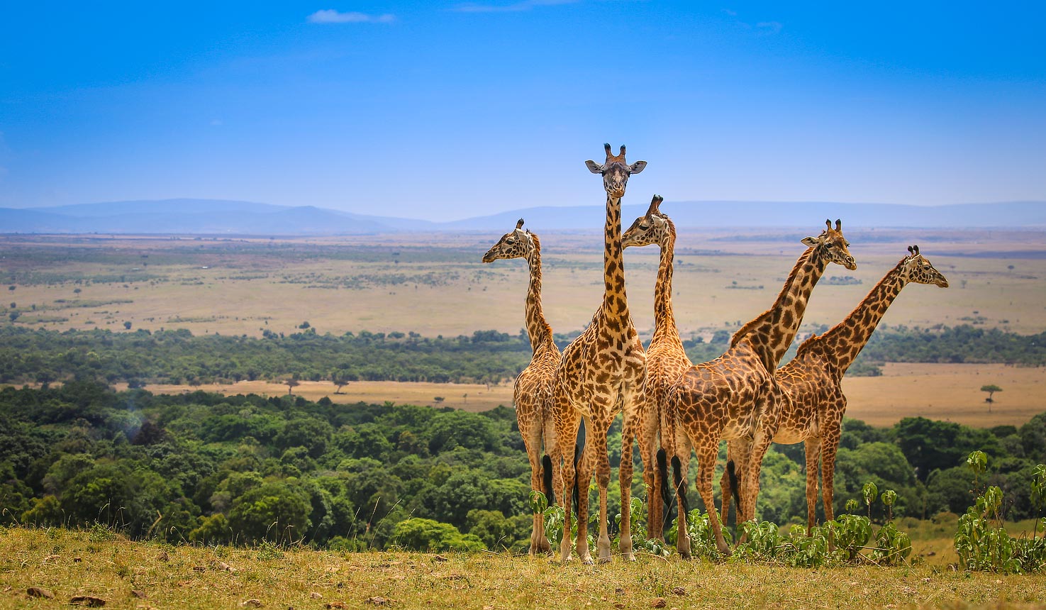 5-Days-4-Nights-in-Masai-Mara-Trips