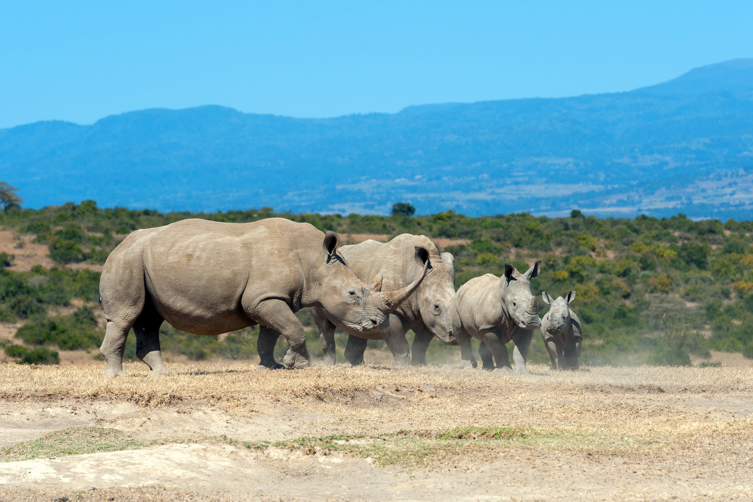 Amboseli Packages