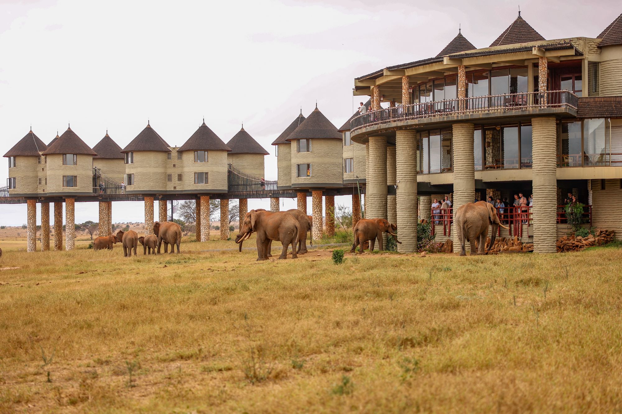 Salt-Lick-Safari-Lodge