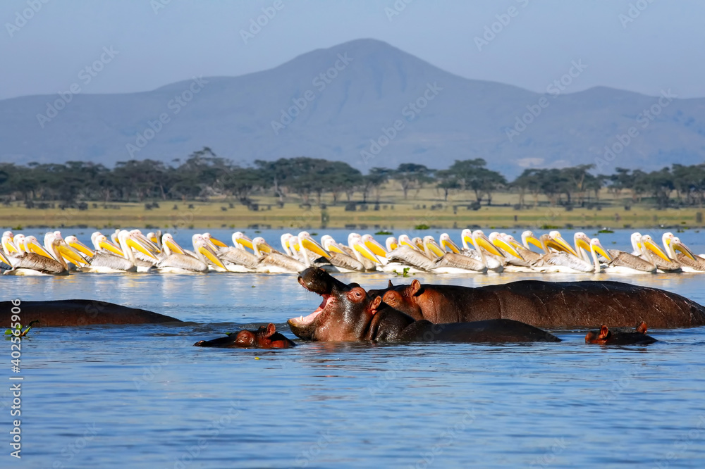 Lake-Naivasha