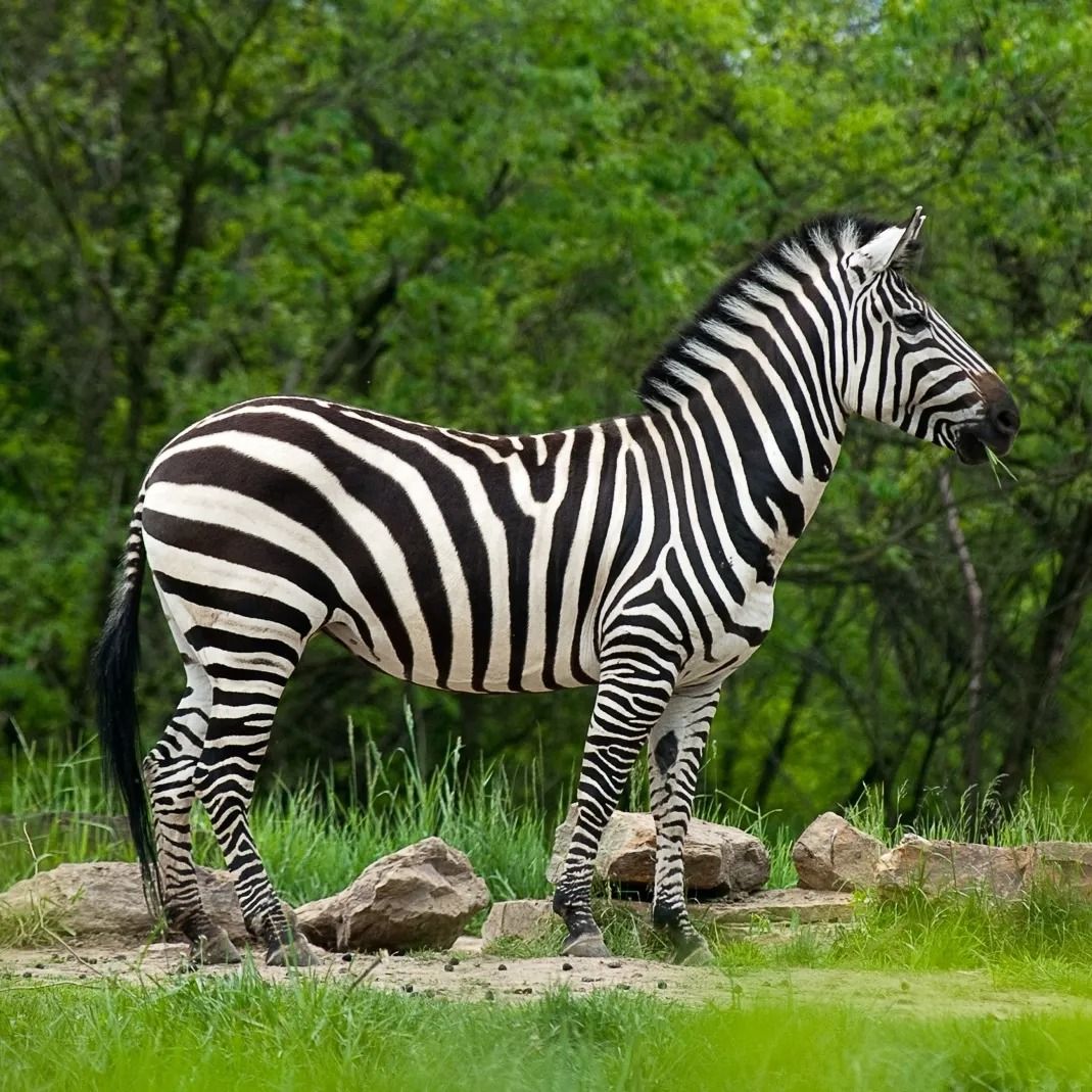 Samburu Packages