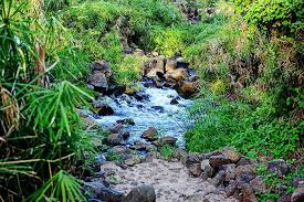 Tsavo National Park Safari Packages