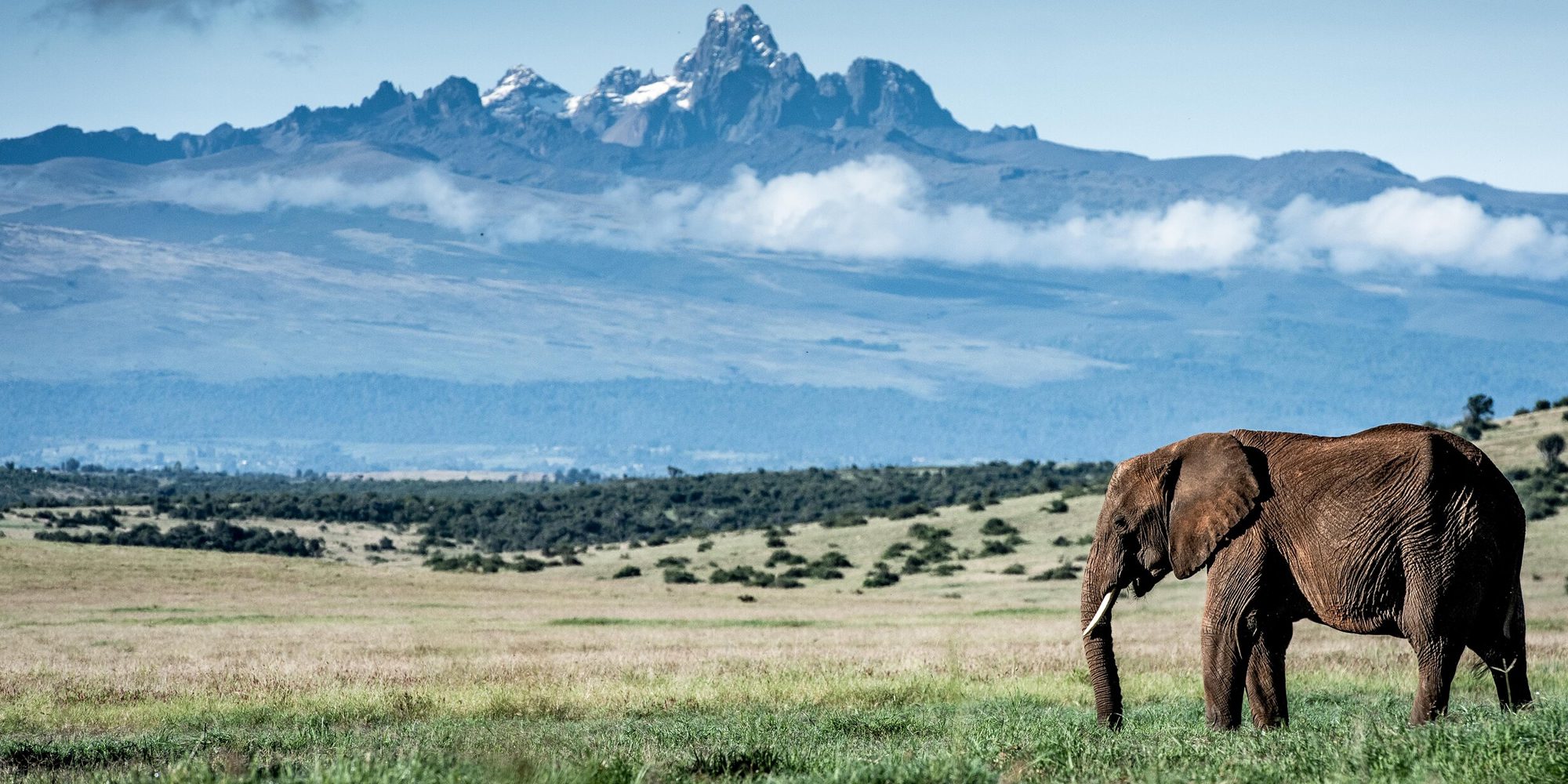 Mt Kenya National Park Safari Packages