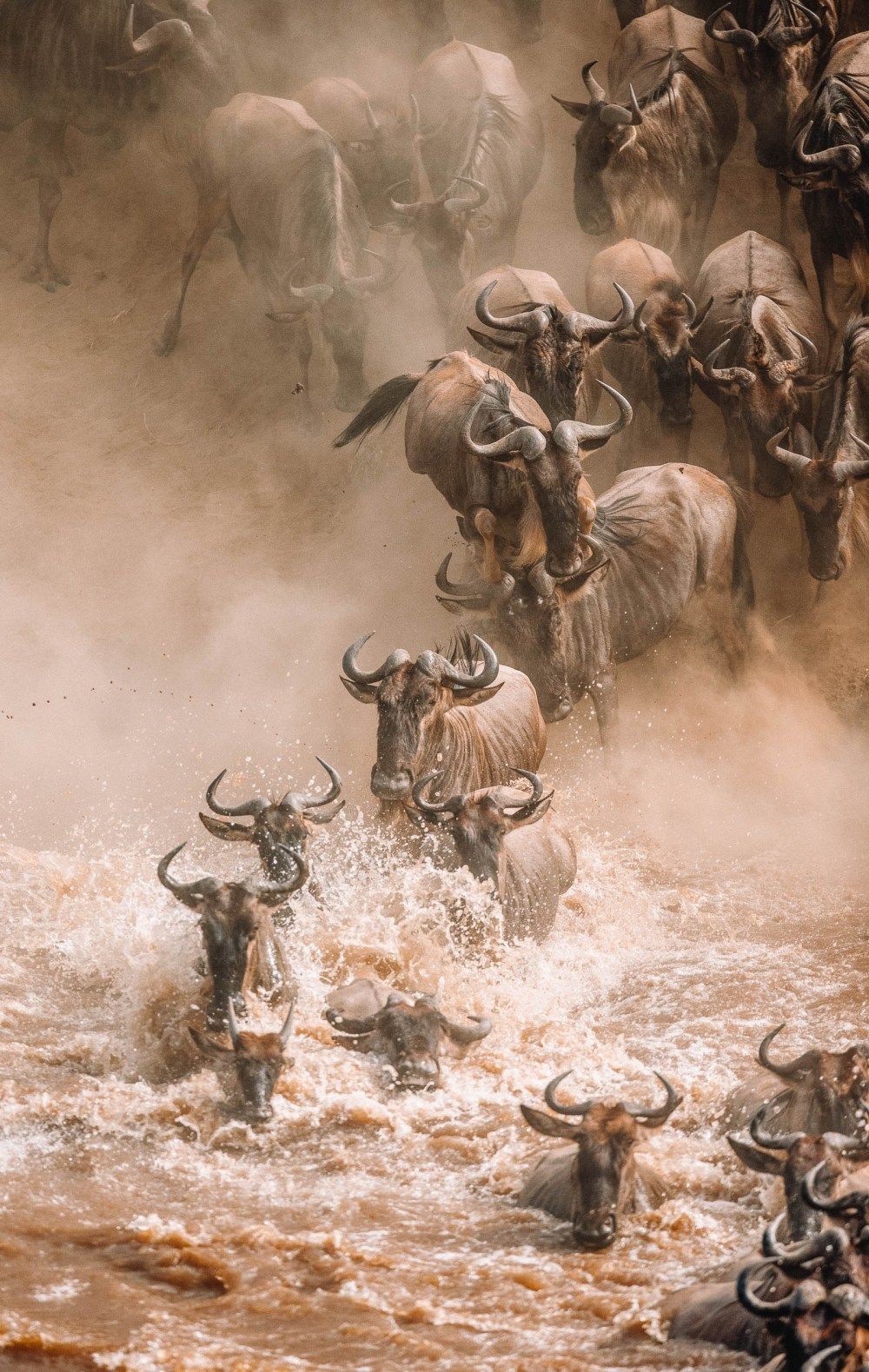 serengeti-vs-masai-mara--which-is-best-to-see-the-great-wildebeest-migration