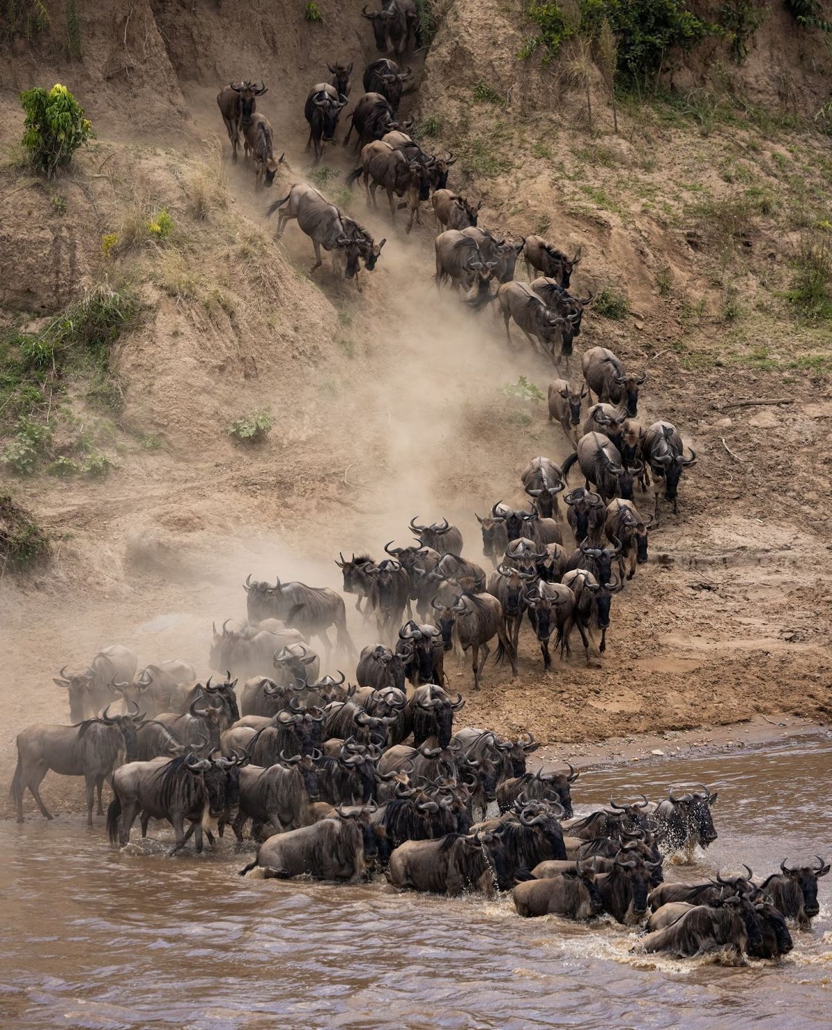 what-to-pack-for-a-wildebeest-migration-safari-with-malaso-africa-safaris