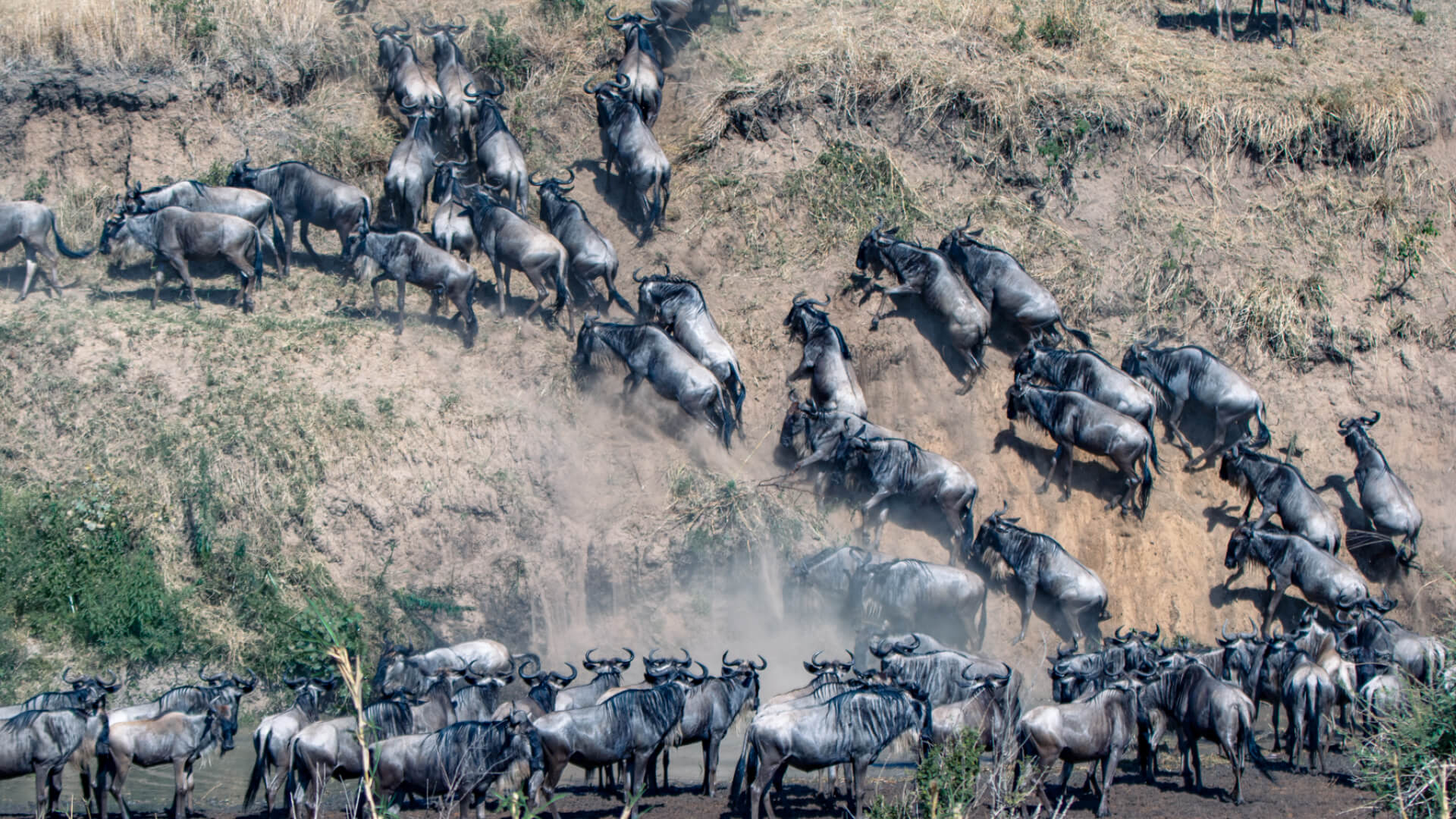 5-days-4-nights-masai-mara-flyin-migration-safari