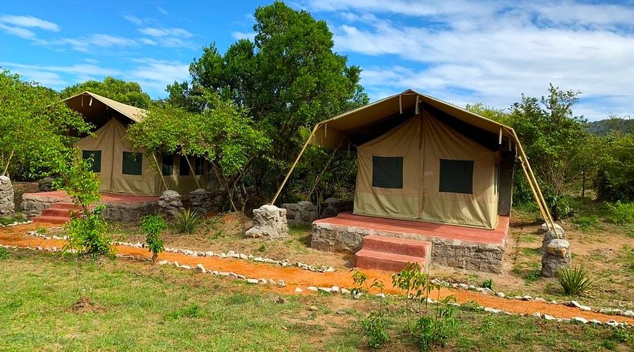 mara-olodare-camp--comfortable-safari-camp-in-masai-mara