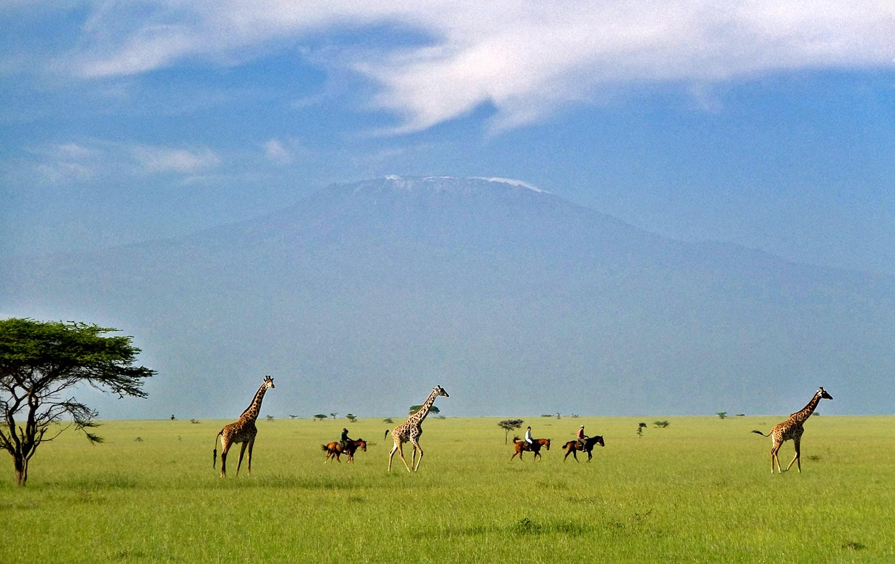 chyulu-hills-national-park--complete-travel-guide--safari-experience