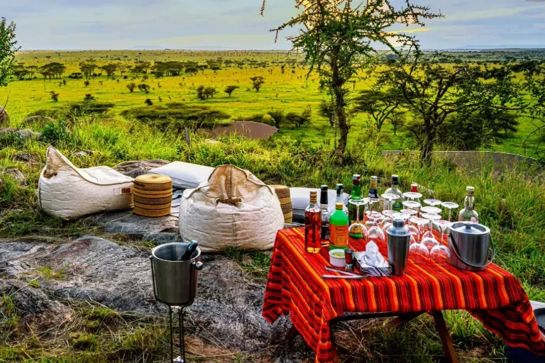 Luxury Safari vs Mid-Range Safari in Kenya: Which Safari Is Right for You?