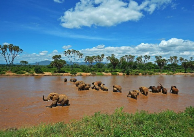 3-days-2-nights-samburu-national-reserve-group-joining-safari