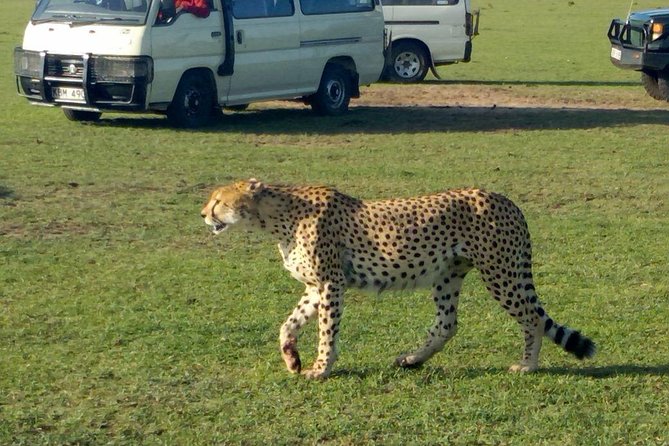 4-days-3-nights-masai-mara--lake-nakuru-group-joining-safari