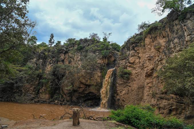 your-first-lake-nakuru-safari-in-2026-the-complete-beginners-itinerary-wildlife-guide-and-travel-tips-for-a-stressfree-adventure