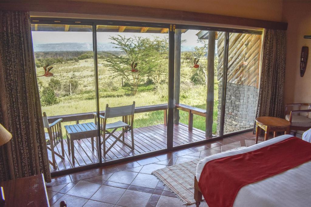lake-nakuru-safari-from-nakuru-town-in-2026-the-ultimate-day-trip-guide-with-costs-wildlife-best-routes-and-insider-tips