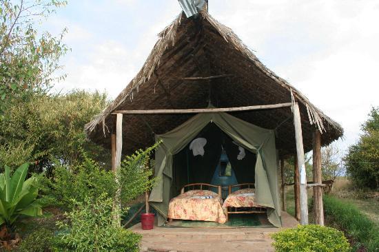 miti-mingi-eco-camp-maasai-mara-affordable-tented-accommodation-near-oloolaimutia-gate