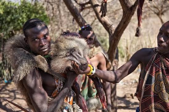 The Hadzabe of Tanzania: Culture, Traditions, Hunting, Language & Fascinating Facts