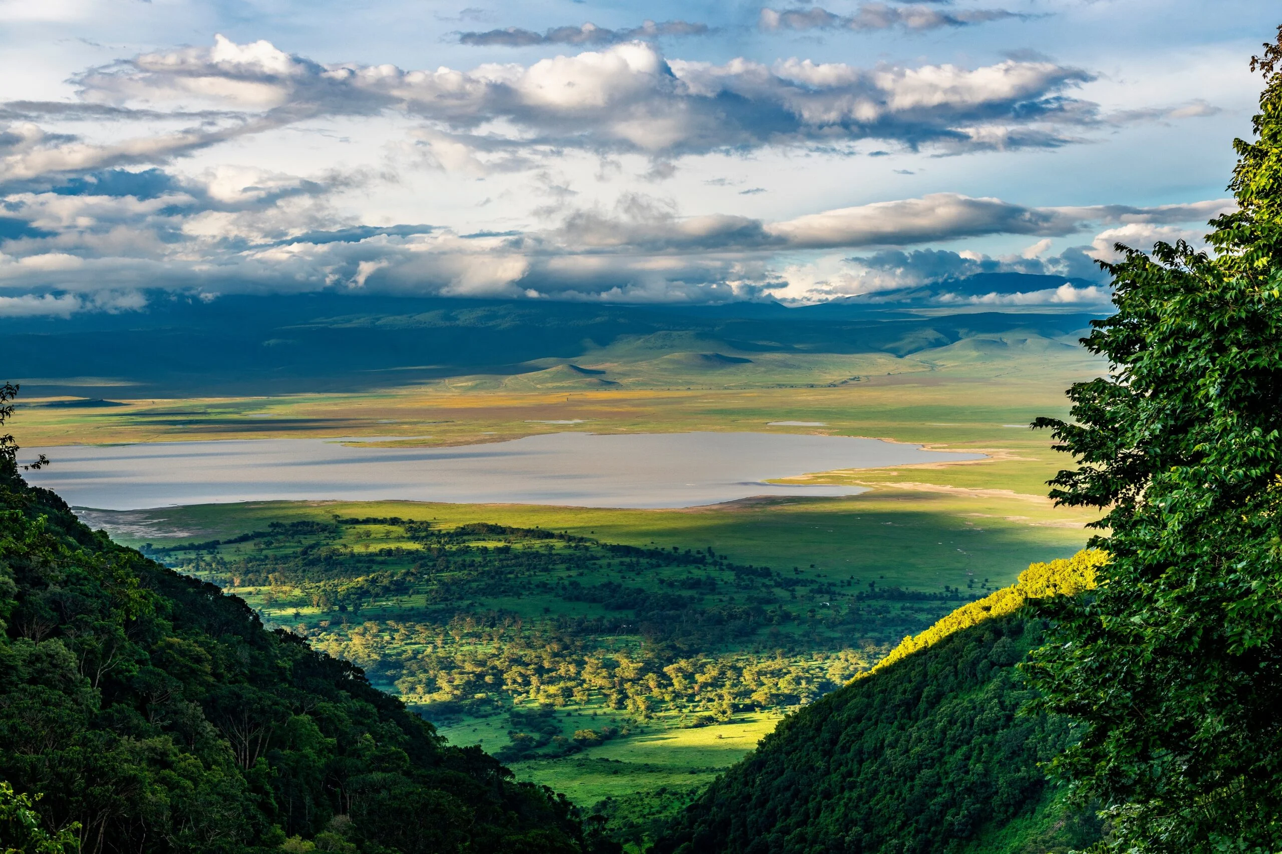 ngorongoro-crater-safari-guide-wildlife-costs-best-time--itineraries