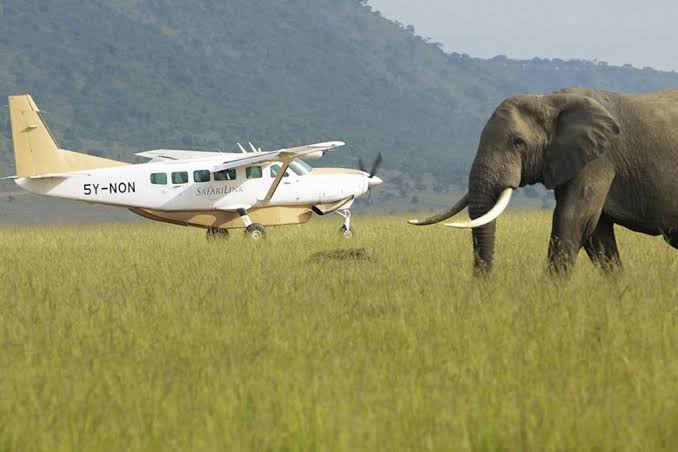 3-days-amboseli-flyin-safari--luxury-kenya-safari