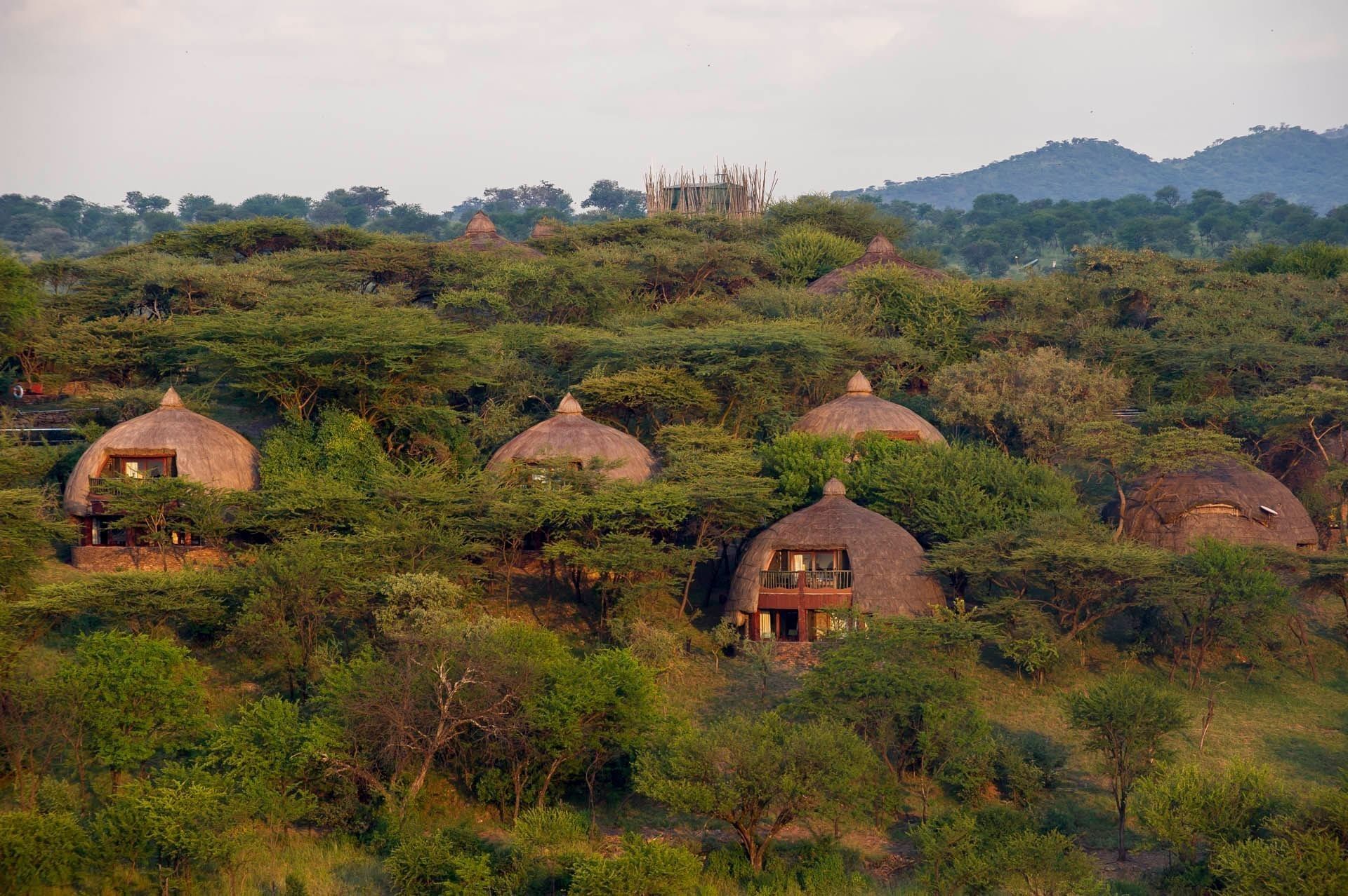 serengeti-serena-safari-lodge--luxury-lodge-in-serengeti-national-park
