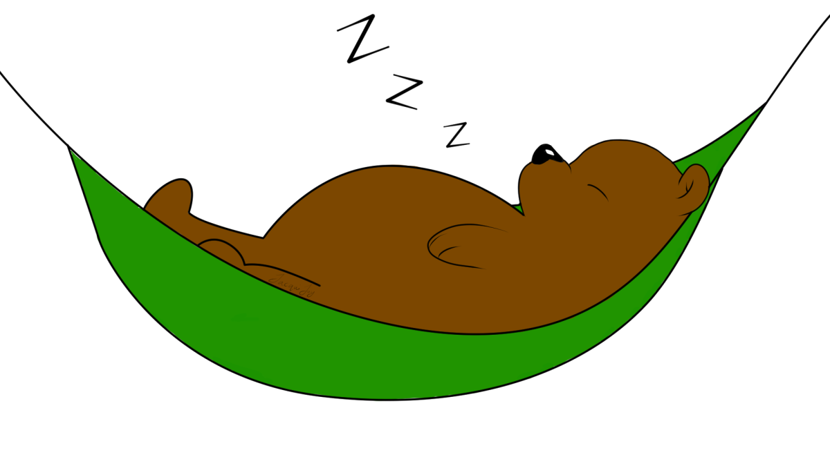 Sleeping Bears Game ESL in the ROK