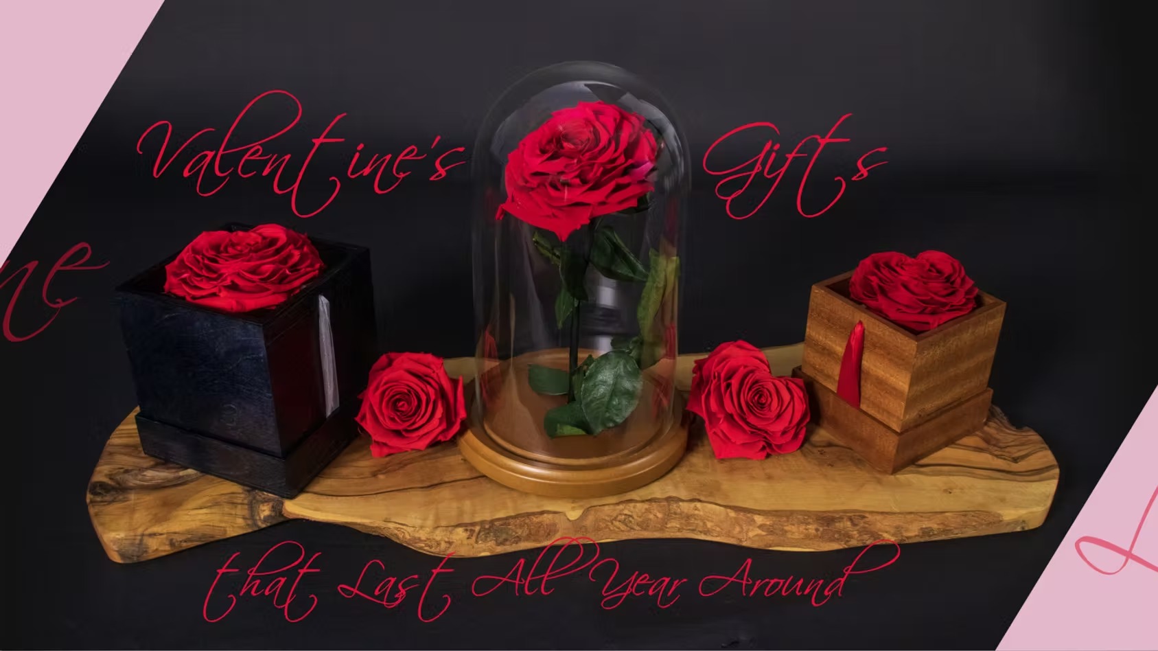 Preserved Rainbow Roses: Lasting Colourful Luxury from The Enchanted Petal