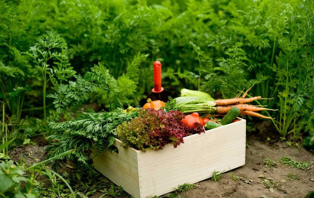 Wholesale Coffee And Spices Exporter | Trusted Global Supplier