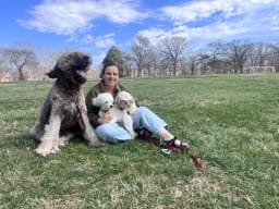 Maggie of The Matted Doodle sitting on a green grass field hodling two small pup friends with a large  pup friend smiling by her side.