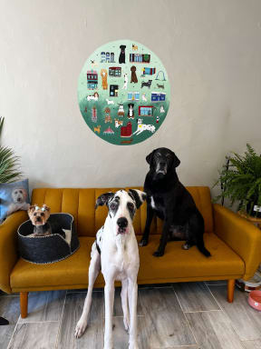 Three happy pups on The Matted Doodle couch. The Matted Doodle mural is in the background.