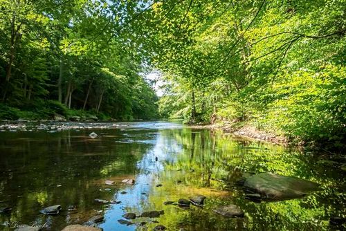 Buffalo Creek in running for Pennsylvania River of the Year