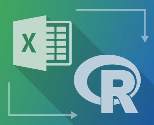 r language
