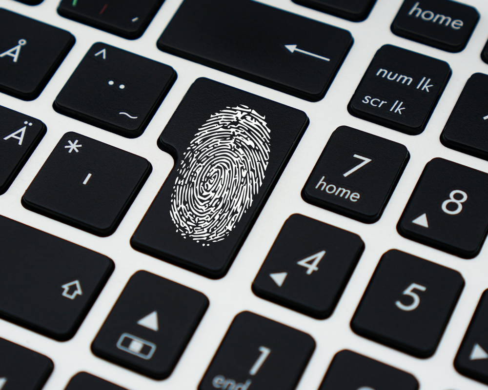 Data-Privacy-Anon-Techniques data privacy