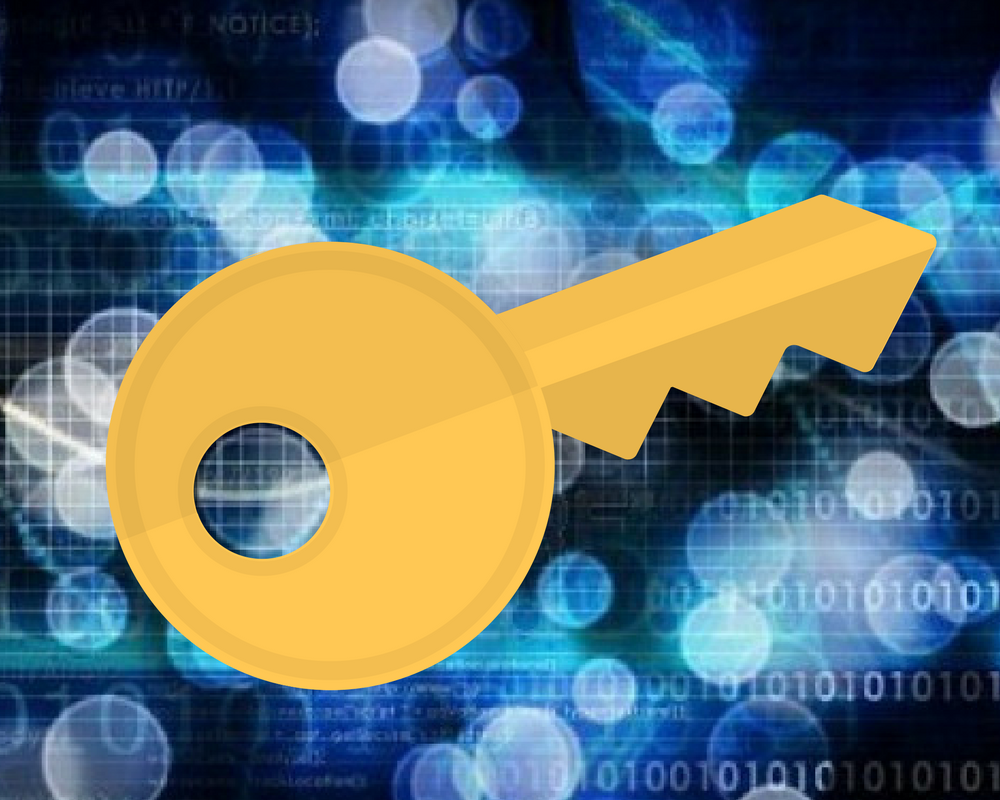 Data Science Skills What Are The Key Skills Of A Data Scientist 