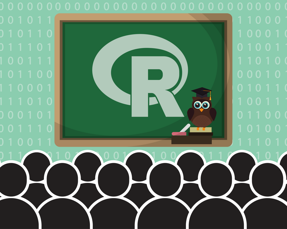R-101-2 rprogramming