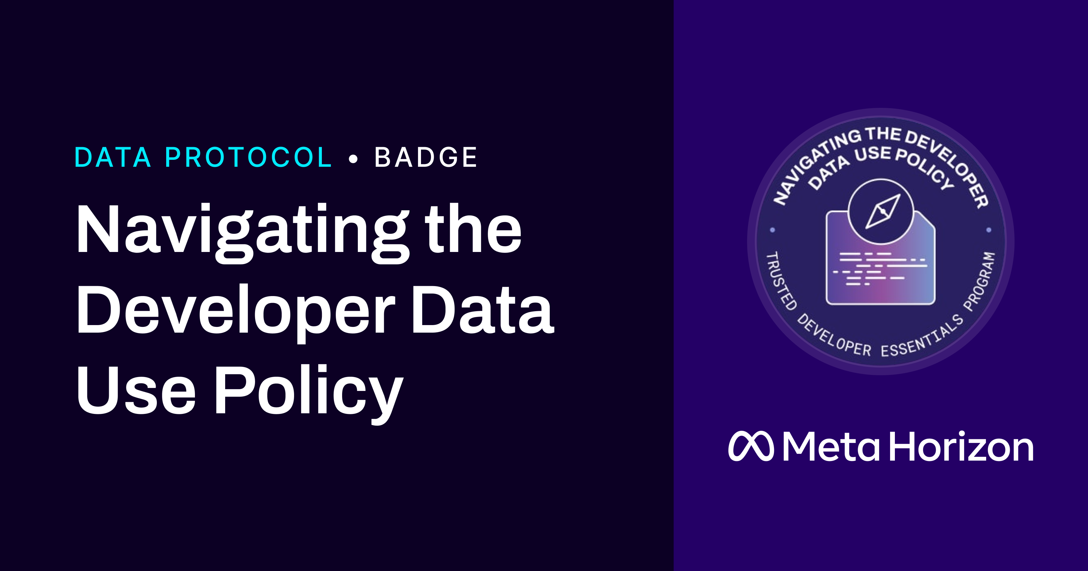 Navigating the Developer Data Use Policy
