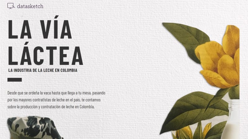 Red Palta - La Vía Láctea