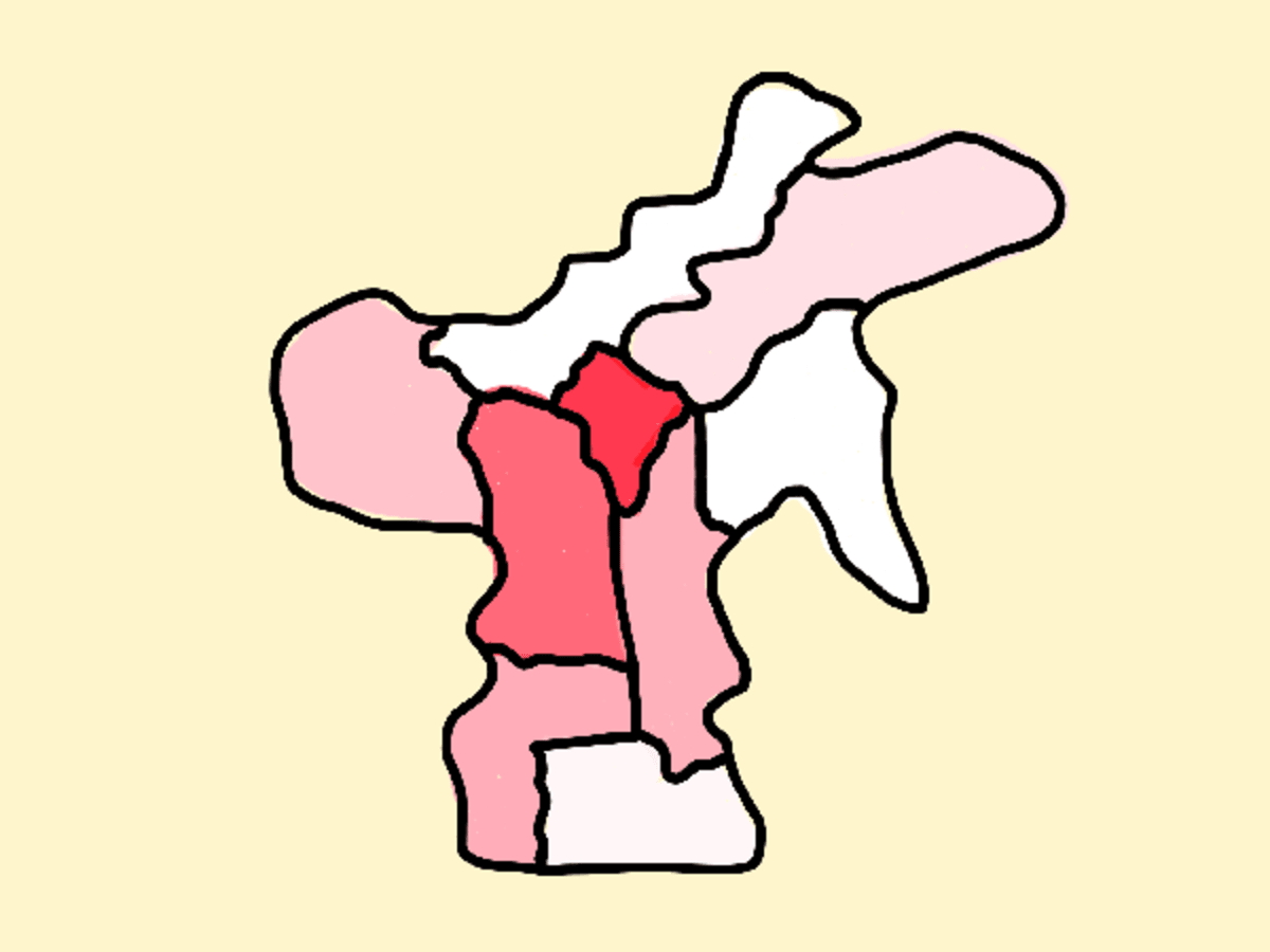 Numeric Choropleth Map