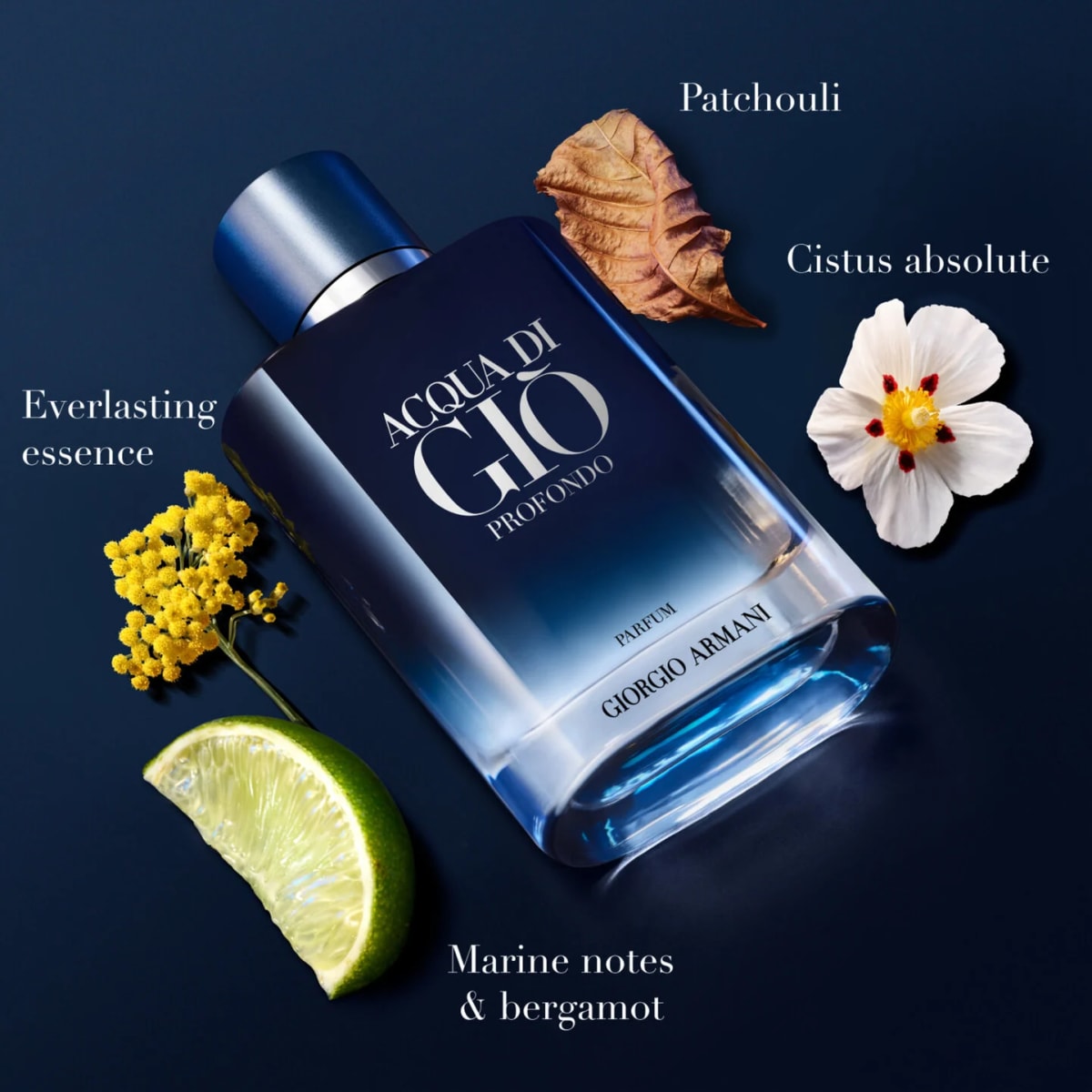 Acqua Giò Homme Profondo - Parfum 3