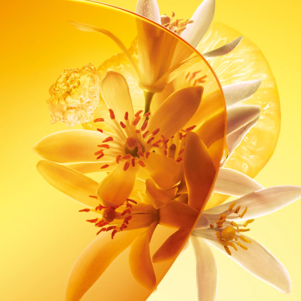 Perfume Sun Song Louis Vuitton - Eau de Parfum 4