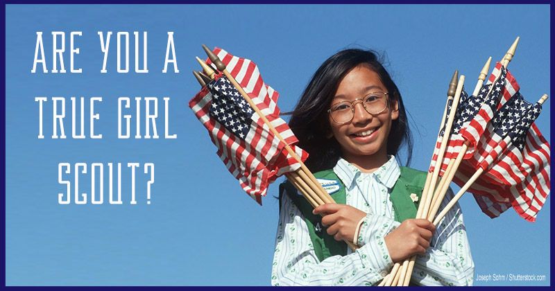 The Girl Scout Quiz Challenge