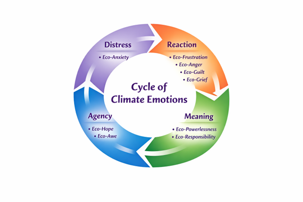 Blog 6_Picture 3 Cycle of Emotions - distress to reactions to meaning to agency