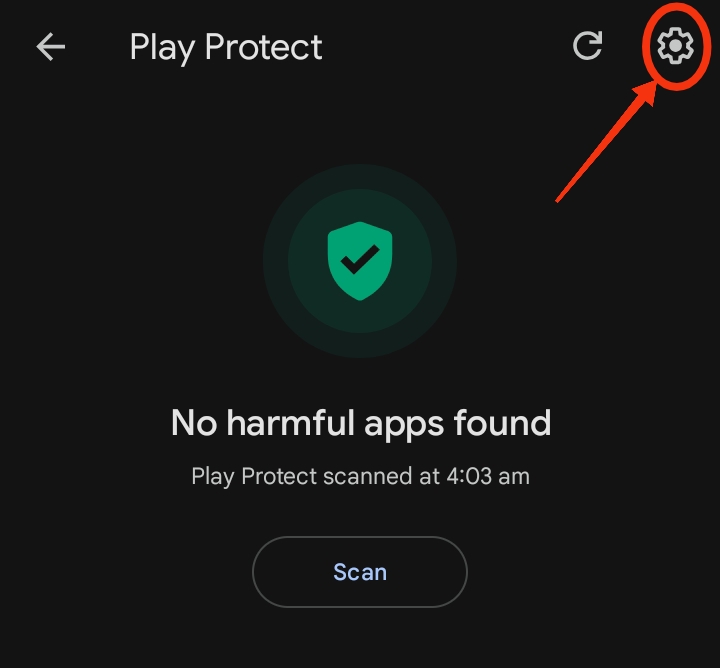 Play Protect settings