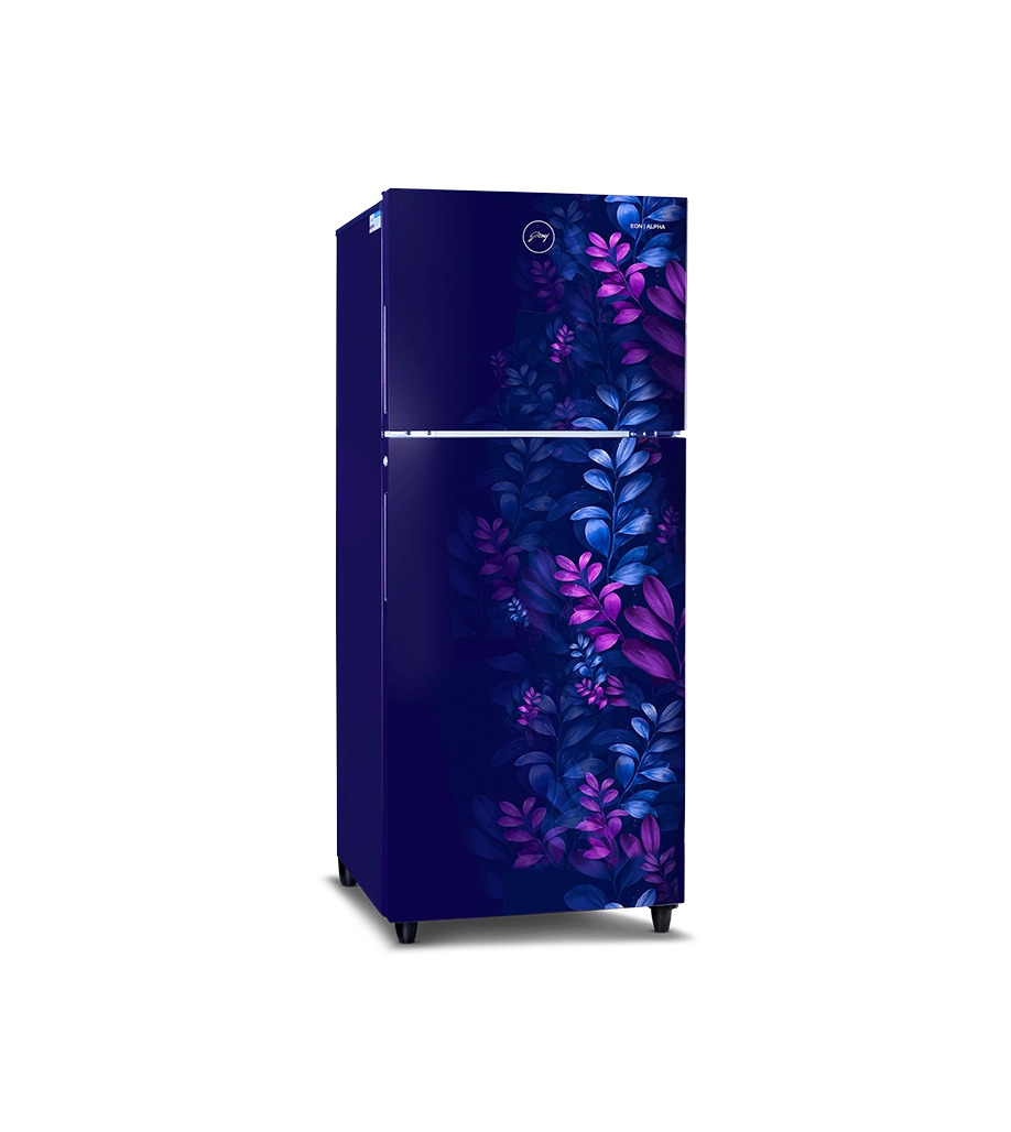 Godrej Eon Alpha 210L Double Door Refrigerator – RT EONALPHA 250B RI AR BL | 2 Star, Frost Free, Blue Finish