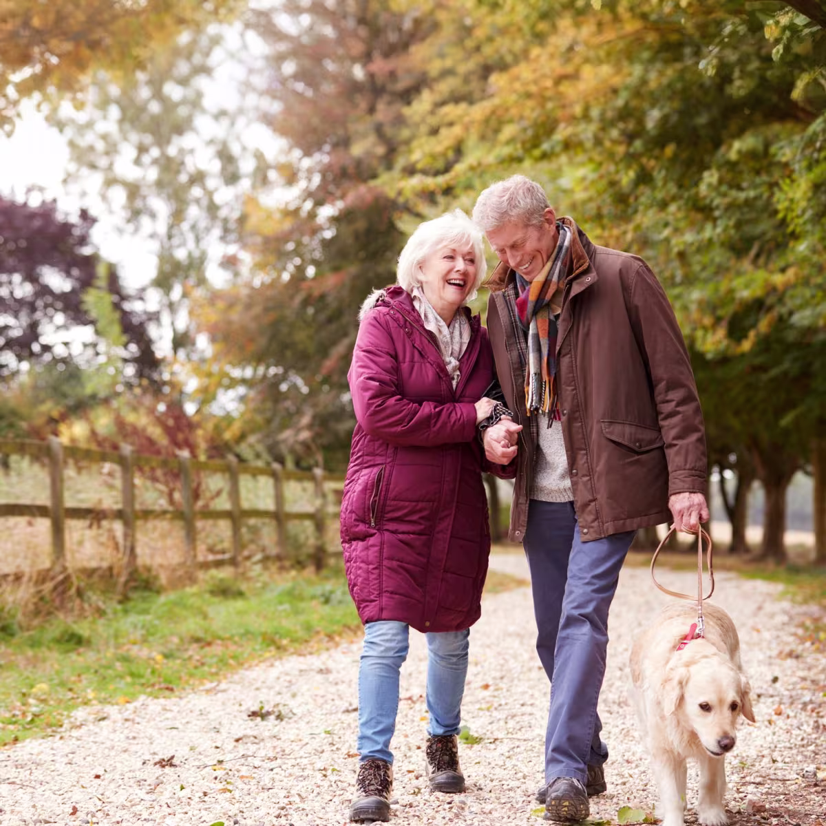 A senior couple laughing together on an autumn countryside walk with their golden retriever