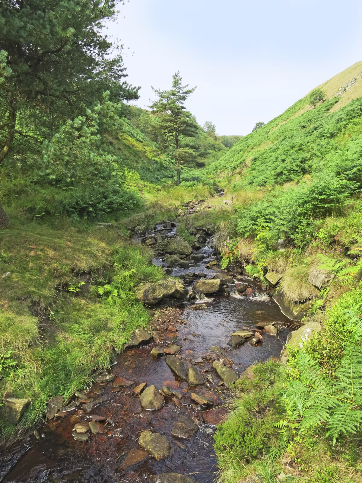 West Yorkshire