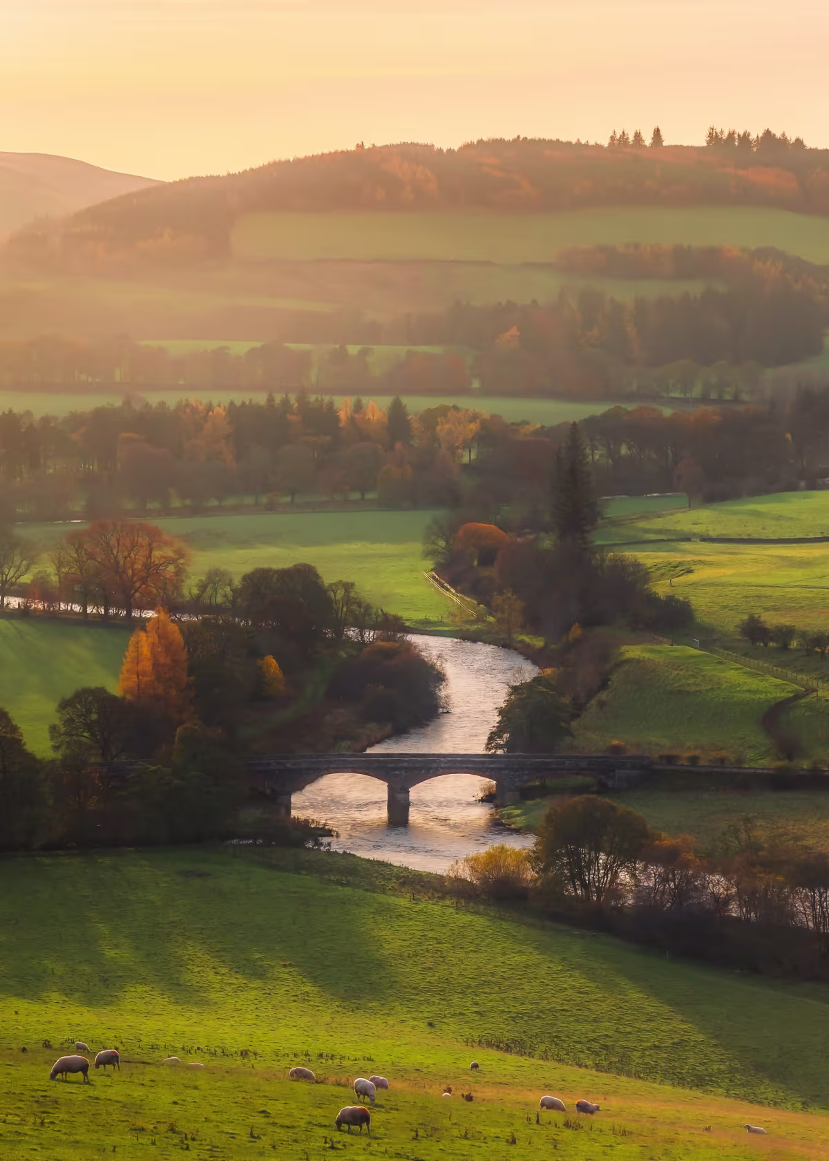 Scottish Borders