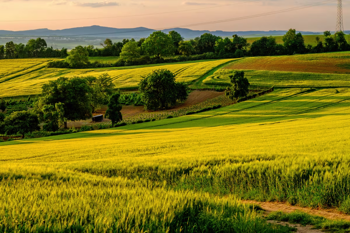 Trusted Matchmaking in Shropshire
