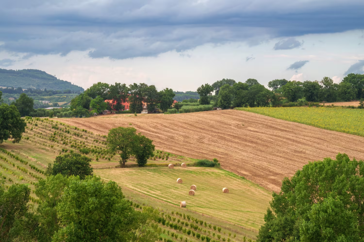 Find Your Partner in Worcestershire: Personal Matchmaking for Professionals