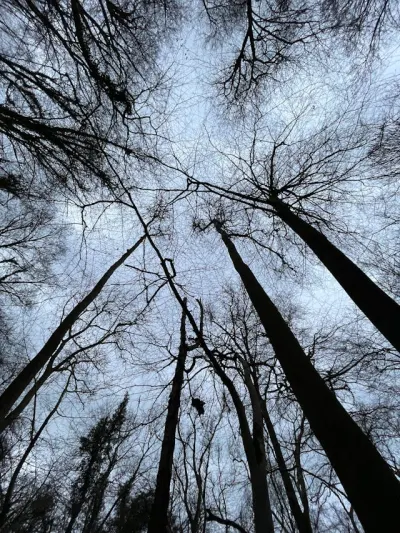 Gloucestershire display picture