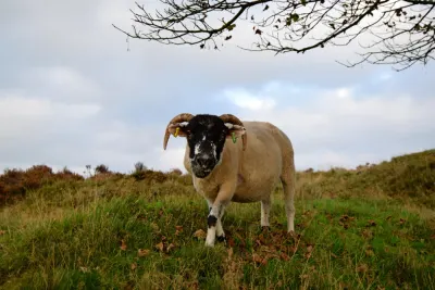 Herefordshire display picture